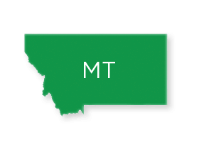 Montana green icon