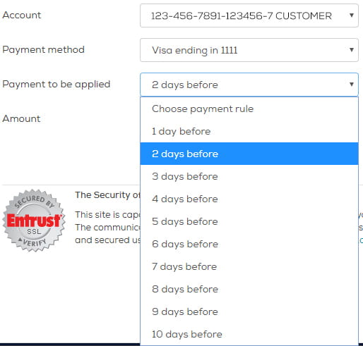 Choose when to pay your bill—from 1 to 10 days before it's due—and click Continue.