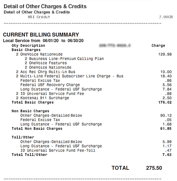 charges on a Ziply Fiber business bill