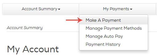 Click My Payments near the top of the screen, then click Make a Payment.
