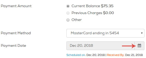 Click the calendar icon to the right of Payment Date and click the date you'd like to make your payment.