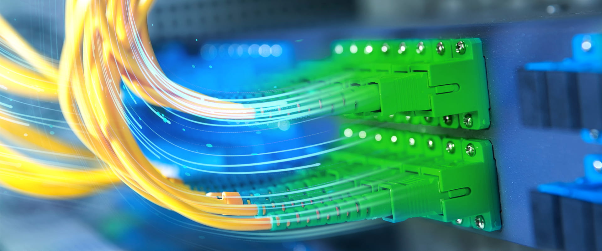 Closeup image of fiber-optic cables, the gold standard of internet connectivity