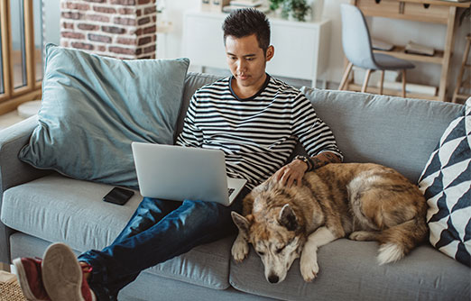 Person sitting on couch with laptop next to a dog